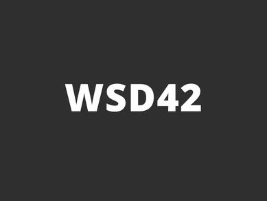 WSD42