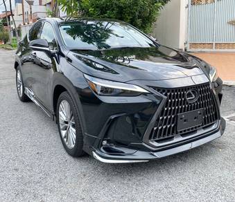 Lexus NX250 2.5 LUXURY FullSpec
