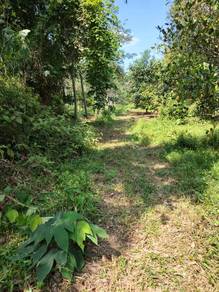 4.7 acre, Kg Ulu Yoh, Tampin