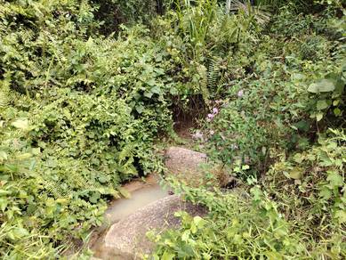 4.7 acre, Kg Ulu Yoh, Tampin