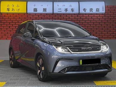 Warranty 2032 Byd DOLPHIN PREMIUM EXTENDED RANGE