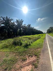 Pontian api-api,Total 23 acres Agriculture Land oil palm tree for sale