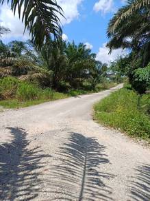 Pontian Agriculture Land, 3.4 Acre ,utilities ready,near residential