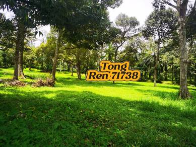 Durian Farm >Baling Kupang Kedah