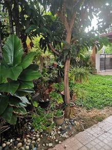 Rare Freehold Bangsar Corner Unit. Renovated Single-Storey 3,000sqft