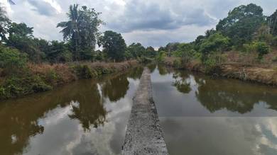 Jasin Melaka Durian Plantation For Sale