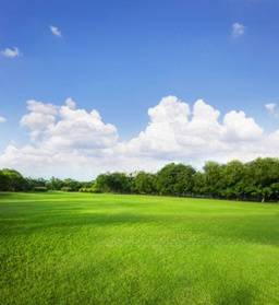 Kuala Selangor Agriculture Land For Sale