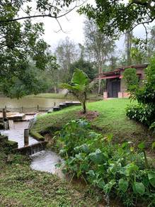 Freehold Dusun Buah-buahan 6.87 ekar Selangor @ Serendah