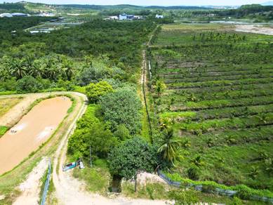 Johor Kota Tinggi 9+4 Acre Freehold/Leasehold Agriculture Land Interna