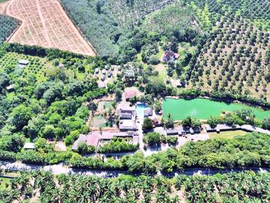 FREEHOLD HUGE Resort Agro Farm Durian Tunggal Melaka 29 Acres