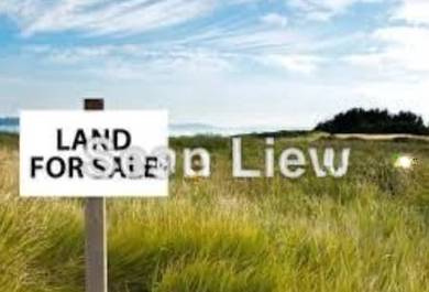 Kapar Development Agriculture Land for Sale Beside Main Road