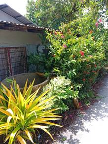 rumah murah Kuala kedah