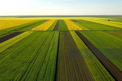 Rare Banting Agriculture Land Affordable For Sale Near Industrial Zone