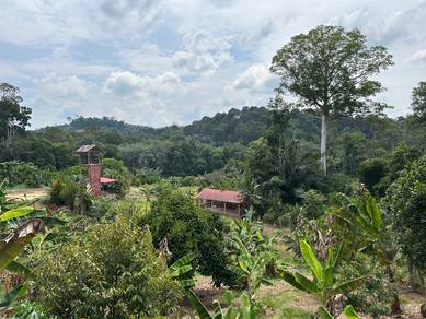 Riverside Freehold Tourist Association Land 4.985ac Below BV 600K Sega