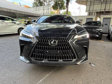 Lexus NX250 2.5 LUXURY H/U Display BSM 8100KM