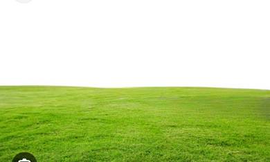 Golden Opportunity: Agriculture Land For Sale in Banting