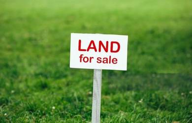 Sungai Buaya Banting Agriculture Land For Sale – Prime Location