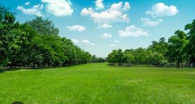 Sungai Buaya Banting Agriculture Land For Sale – Prime Location