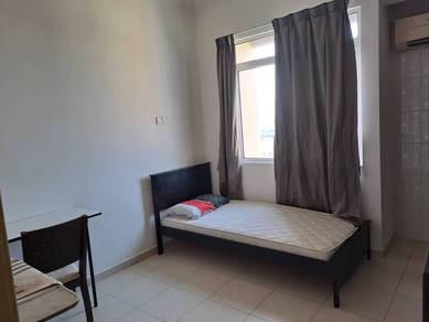 Fully Furnished Single Bedroom  at Sg Dua near USM Penang