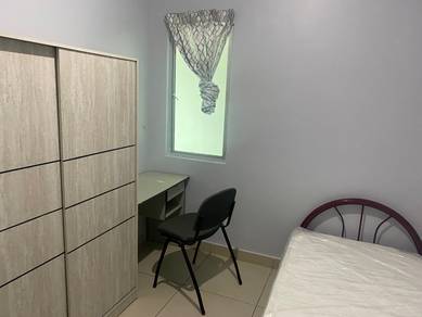University Apartment 2