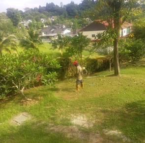 Perkhidmatan Memotong Rumput dan Menebang Pokok