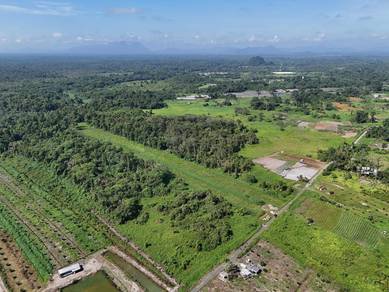 Batu Gong Land For Sale