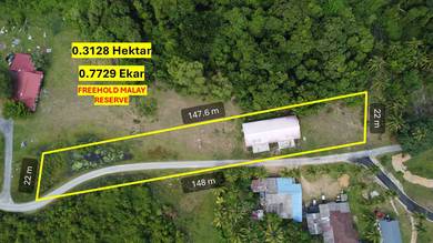 [FREEHOLD] Tanah Pertanian + Rumah Semi-D Kg Bentan, Pekan