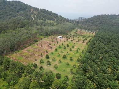 Super Cheap Broga Land, Freehold @Broga, Seremban, Negeri Sembilan