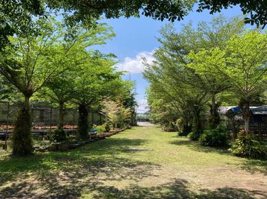 Agriculture Land at 13th Mile Jalan Kuching-Serian