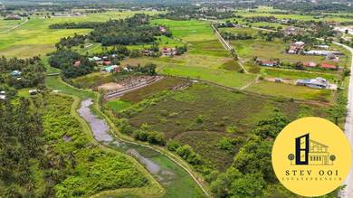 kampung guar petai agriculture  land/main road/tasek gelugor