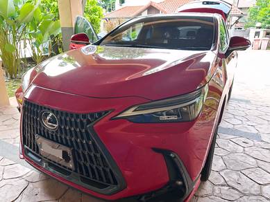 Lexus NX 250 2.5 LUXURY (A)
