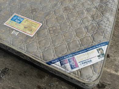 (KingKoil) 9'' Coil Spring Tilam Queen Mattress