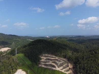 Tanah 57 Ekar Kg Bukit Chendering,Tanah Terluas Di Kuala Terengganu