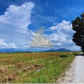 Agriculture Land for Sale – Permatang Tok Jaya, Seberang Prai, Penang