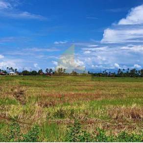 Agriculture Land for Sale – Permatang Tok Jaya, Seberang Prai, Penang