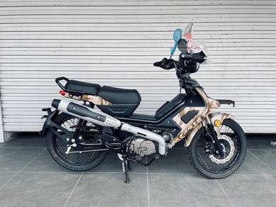 Aveta RANGER CUB CROSS (SE)!! READY STOCK!!