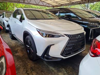 Lexus NX 250 2.5 LUXURY (A) SUNROOF HUD 360