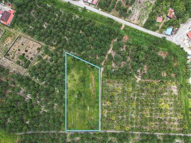 FREEHOLD | 1.79 Ekar Tanah Pertanian Di Bukit Belimbing, Kuala Selango