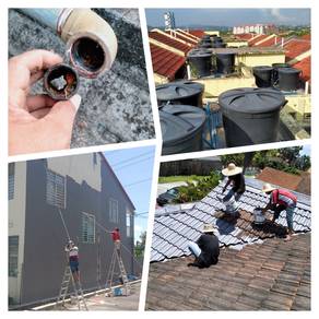 Plumbing plumber renovation and tukar cat rumah