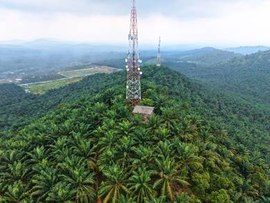 Johor Kluang 5 Acre Agriculture Land High Hill 100meter Freehold Palm