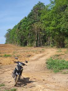 kebun getah