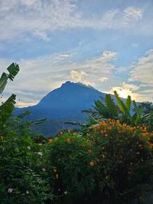 Mesilau Kundasang Mount Kinabalu 145.45ac