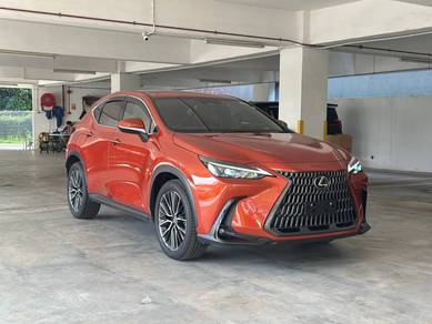 Lexus NX 250 2.5 BASE GRADE