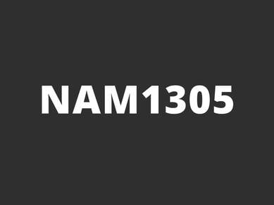 NAM1305