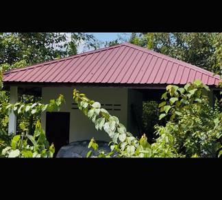 Tanah Tepi Jalan,Free Rumah Kebun- 2 Ekar
