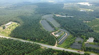 Kota tinggi Agriculture Land, Oil Palm tree, total hv 6.63 arces