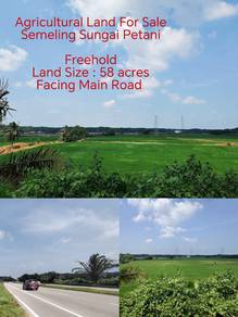 Agricultural Land For Sale