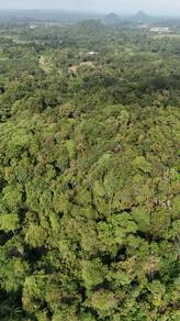 Tanjong Paoh ,Siniawan Bau Land For Sale