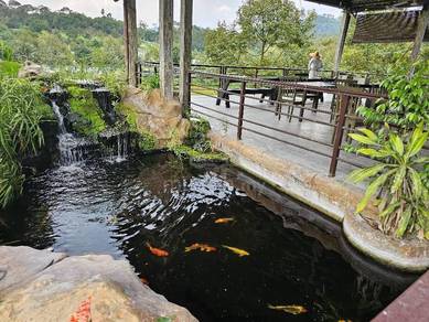 8 Acres Resort & Durian Farm For Sale – Sungai Makau, Hulu Langat