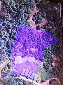 2.5 Acres Freehold Land for Sale – Paya Terubong, Penang